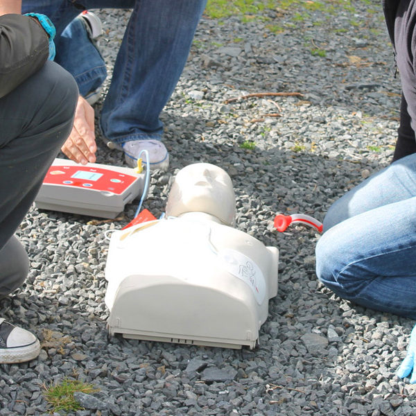 Training Courses First Aid